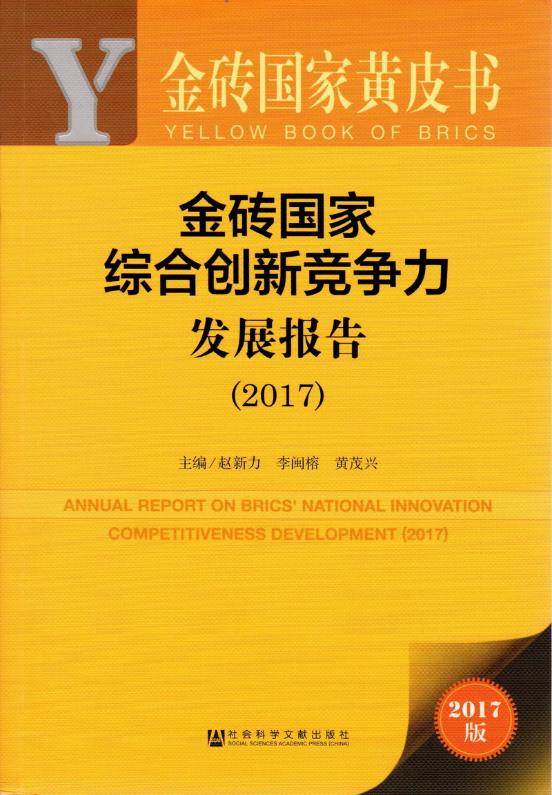 舔jiji啊啊啊啊啊金砖国家综合创新竞争力发展报告（2017）